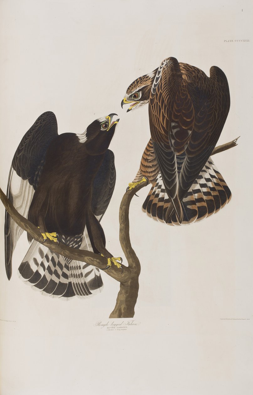 Ilustración de 
