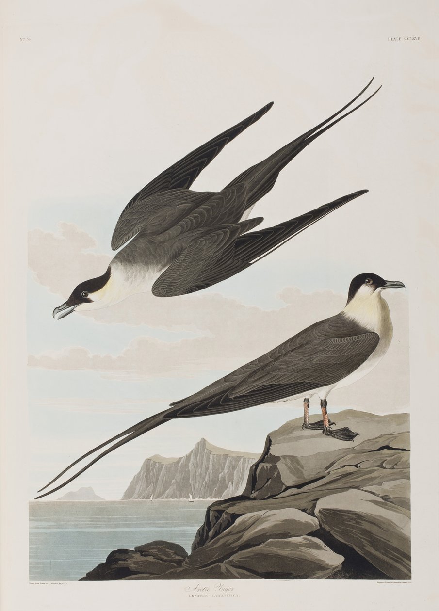 Ilustración de 