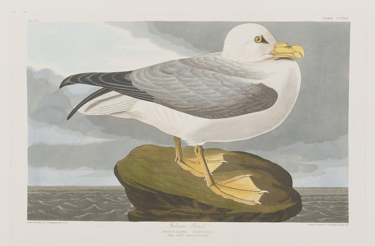 Ilustración de 