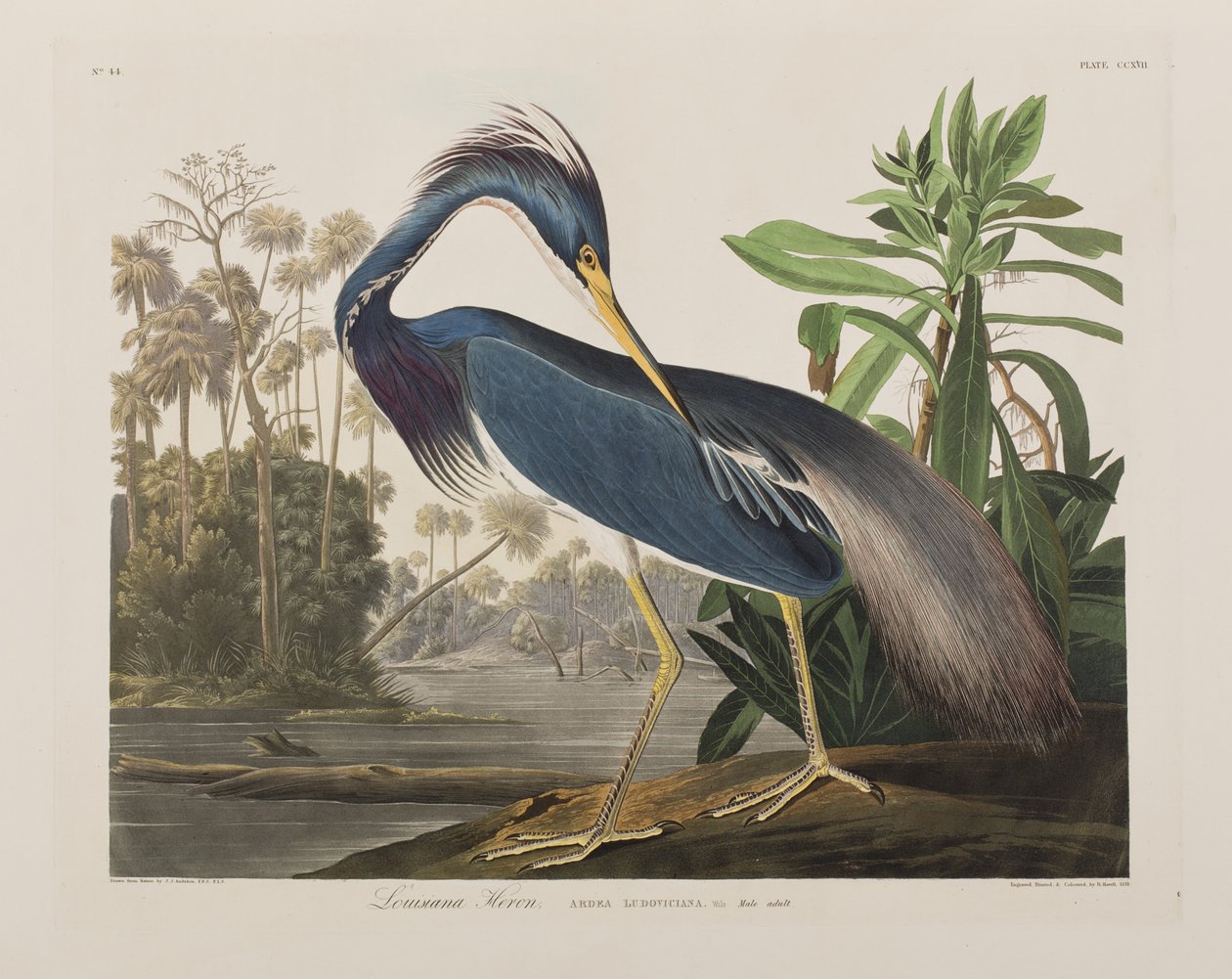 Ilustración de 