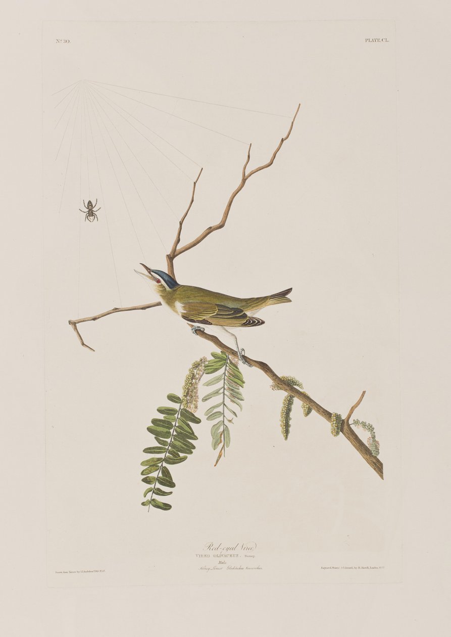 Ilustración de 
