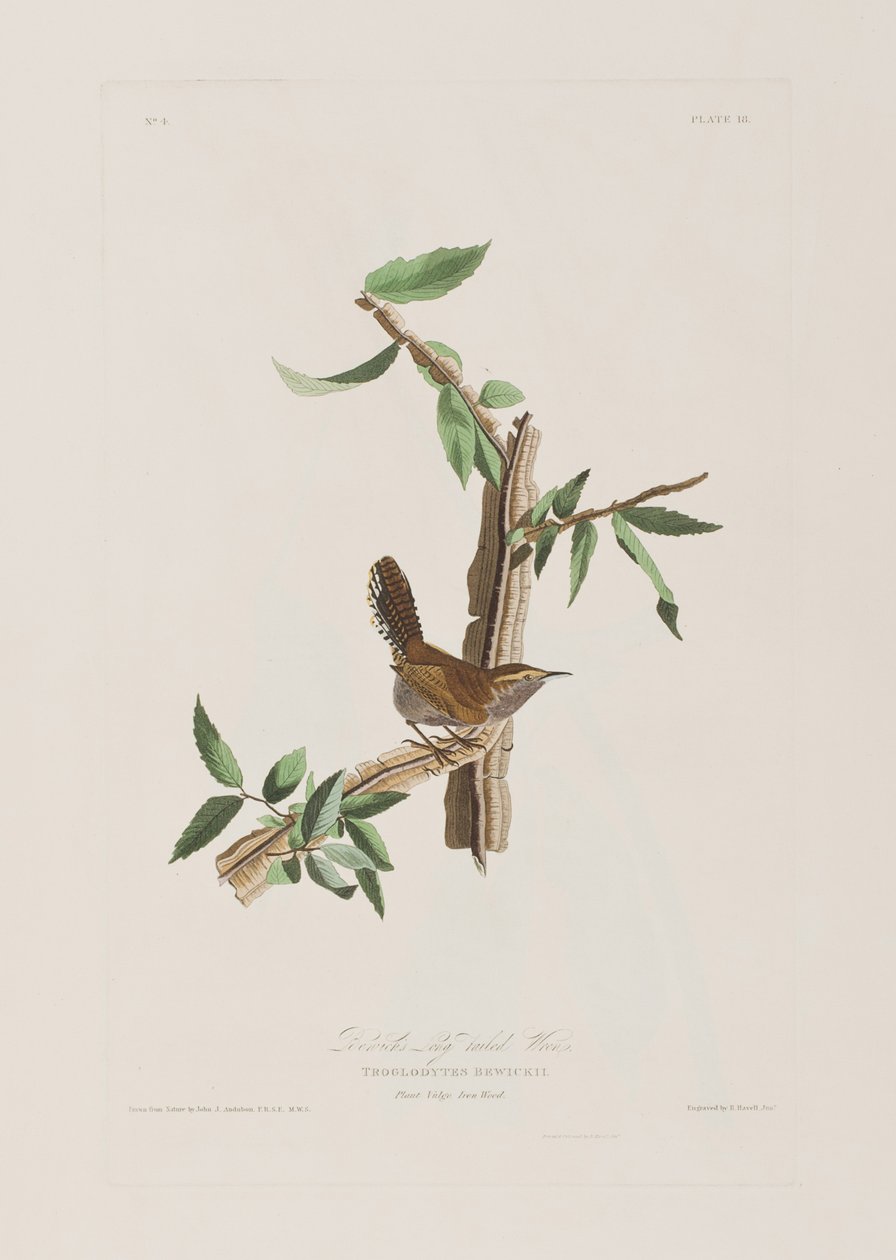 Ilustración de 