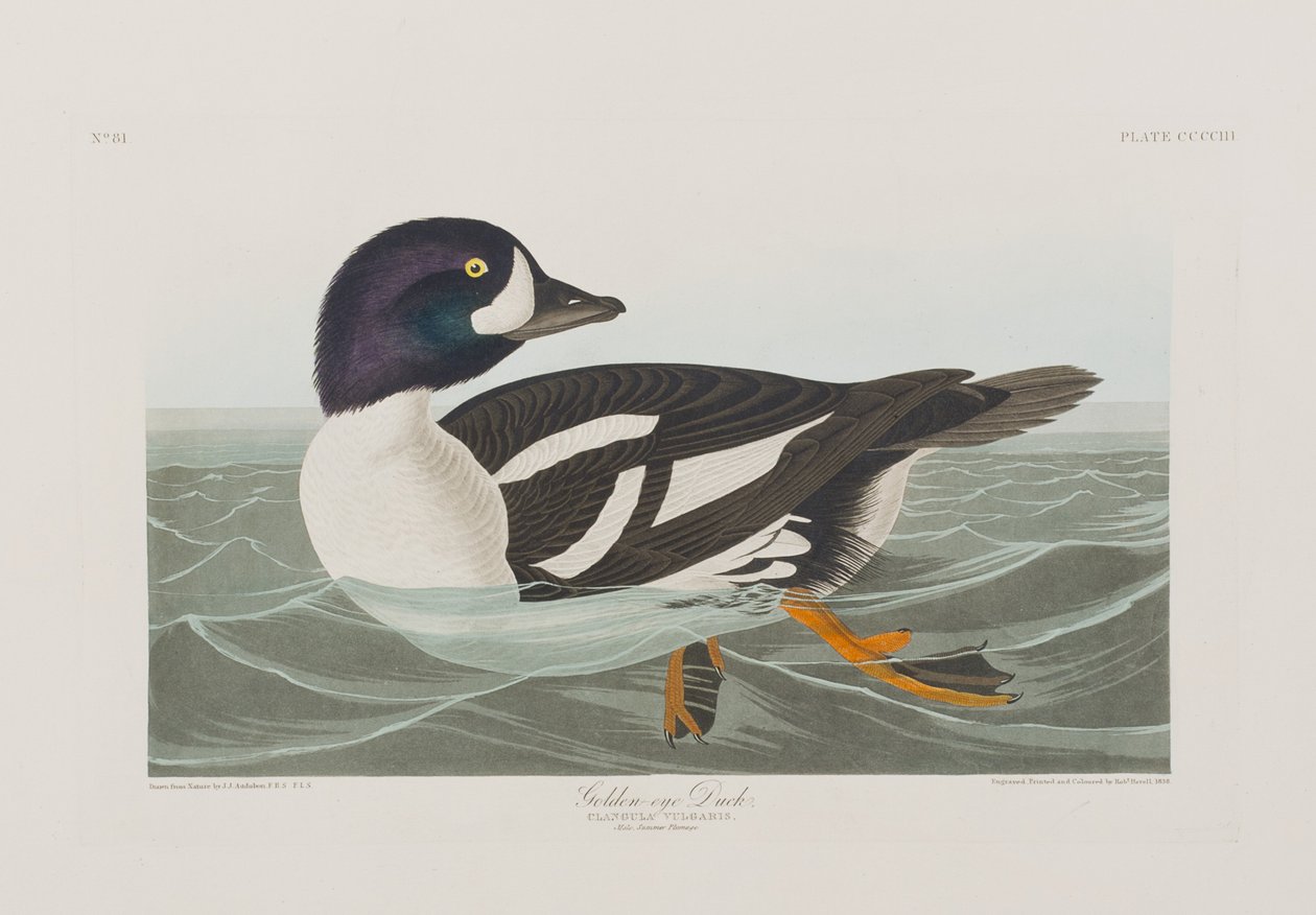 Ilustración de 