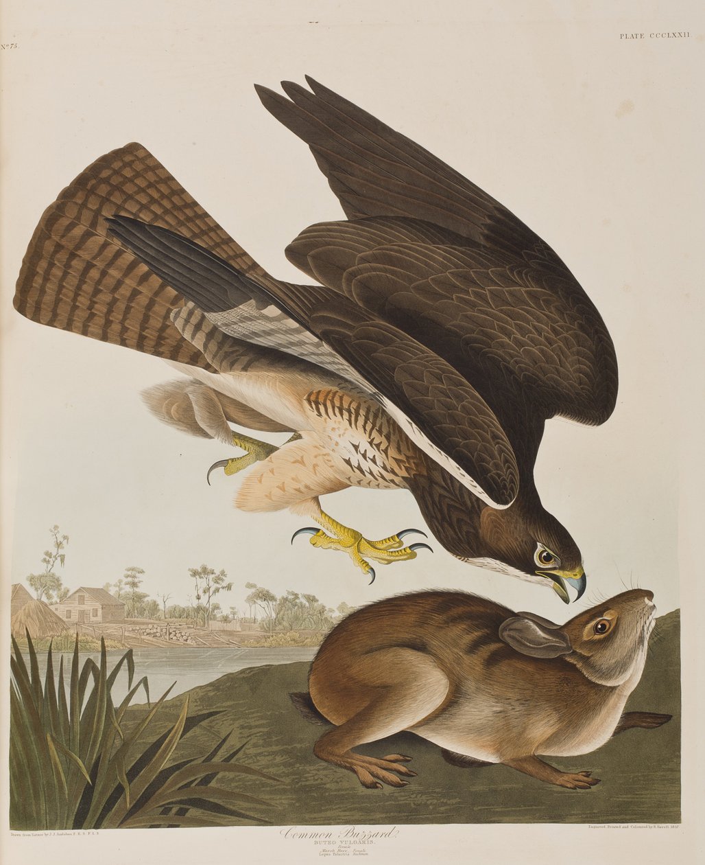Ilustración de 