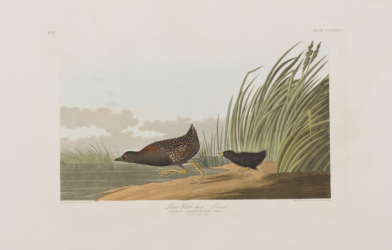 Ilustración de 