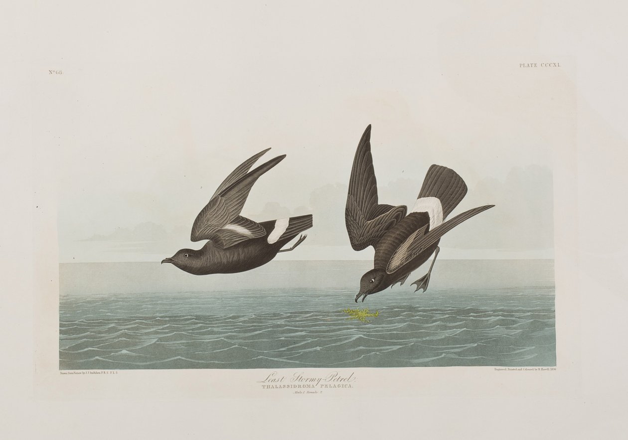 Ilustración de 