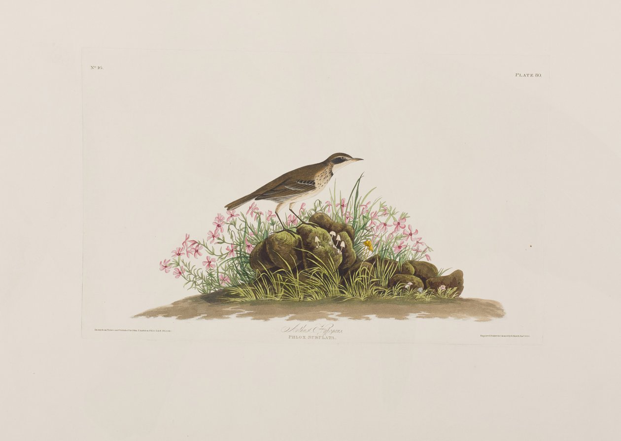 Ilustración de 