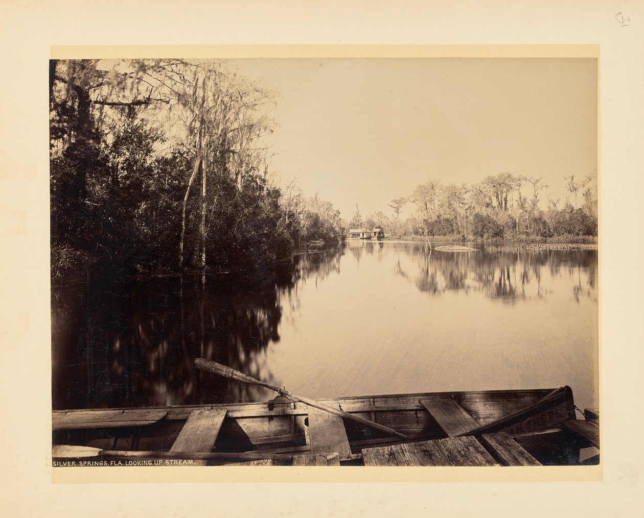 Silver Springs, Florida, vista aguas arriba de John K. Hillers