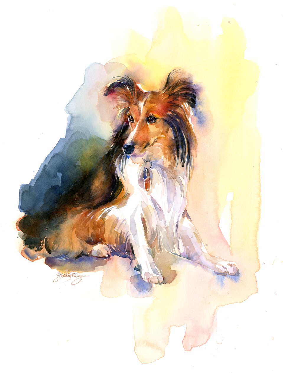 Retrato de Sheltie de John Keeling