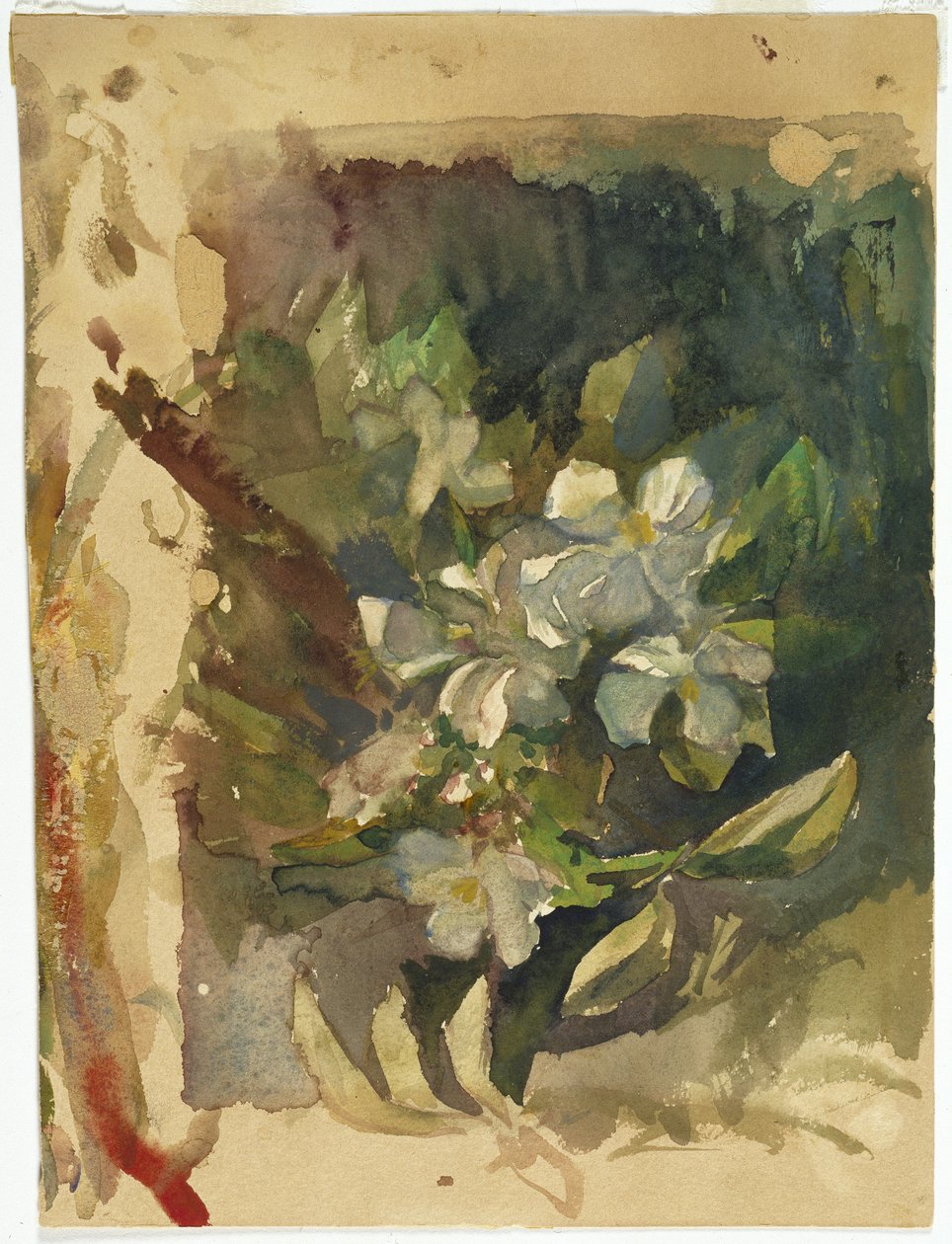 Flores de manzano a la luz del sol de John La Farge or Lafarge