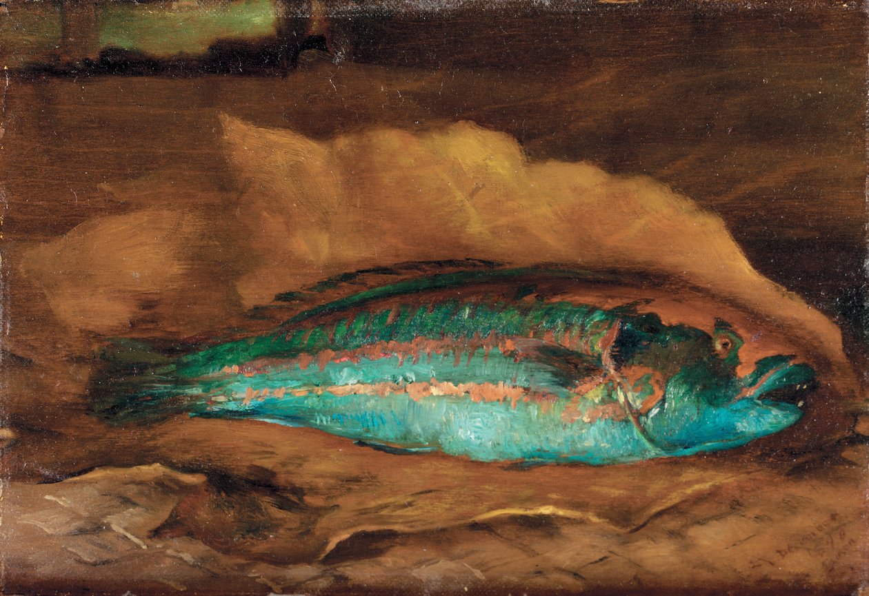 Estudio del pez loro, Samoa, 1890 de John La Farge or Lafarge