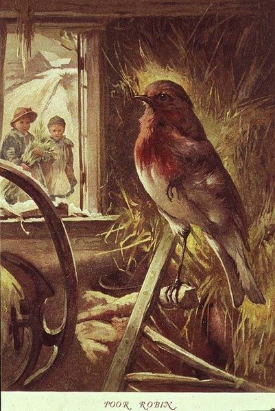 Pobre Robin, ilustración de 