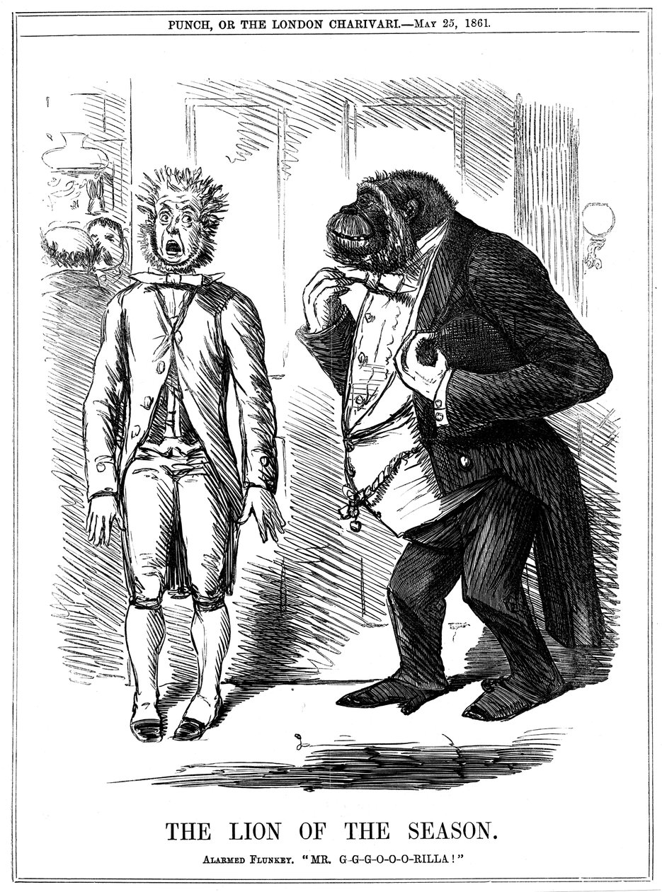 El león de la temporada, 1861 de John Leech
