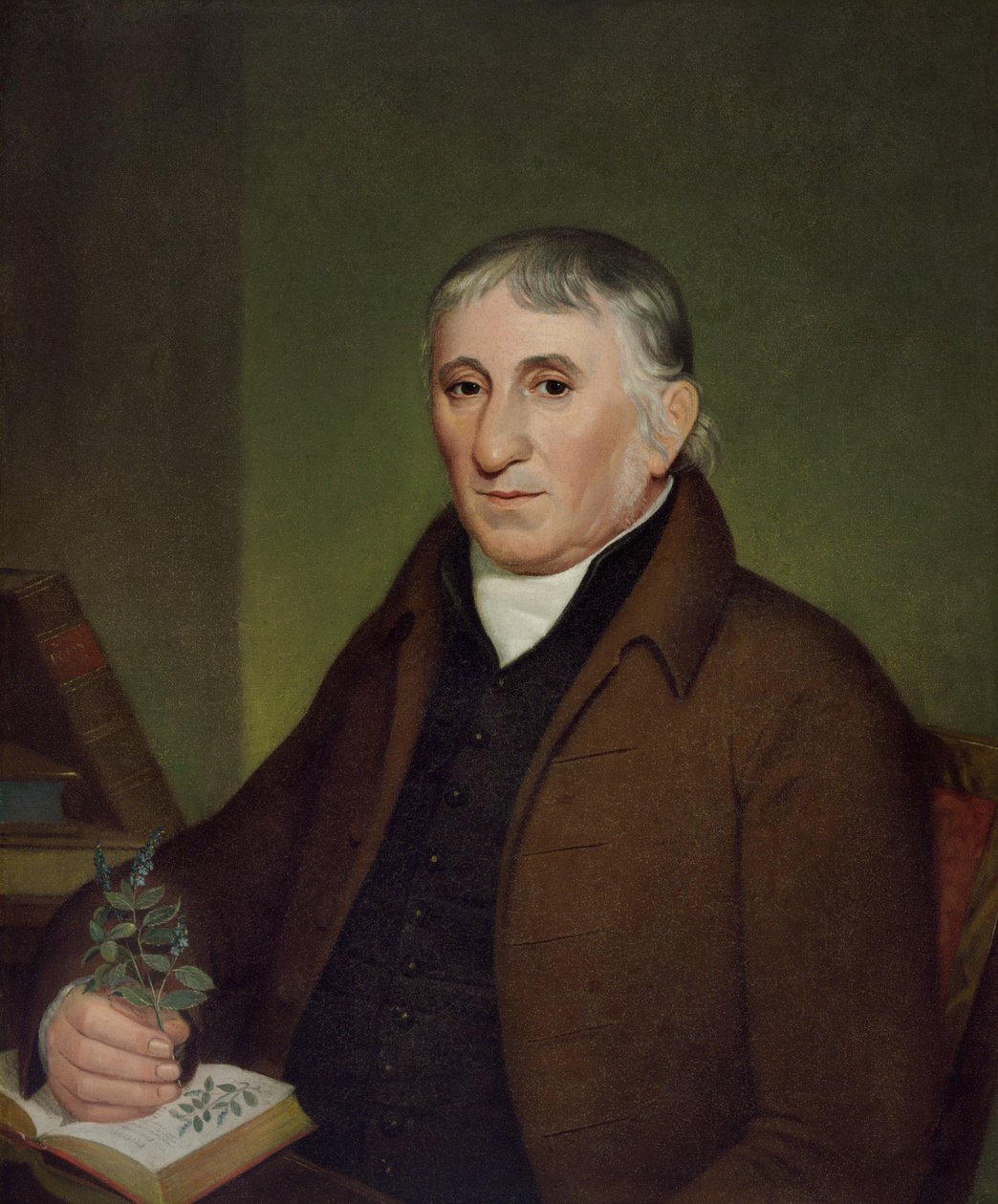 Retrato de Jacob Ritter, padre, botánico de John Lewis Krimmel