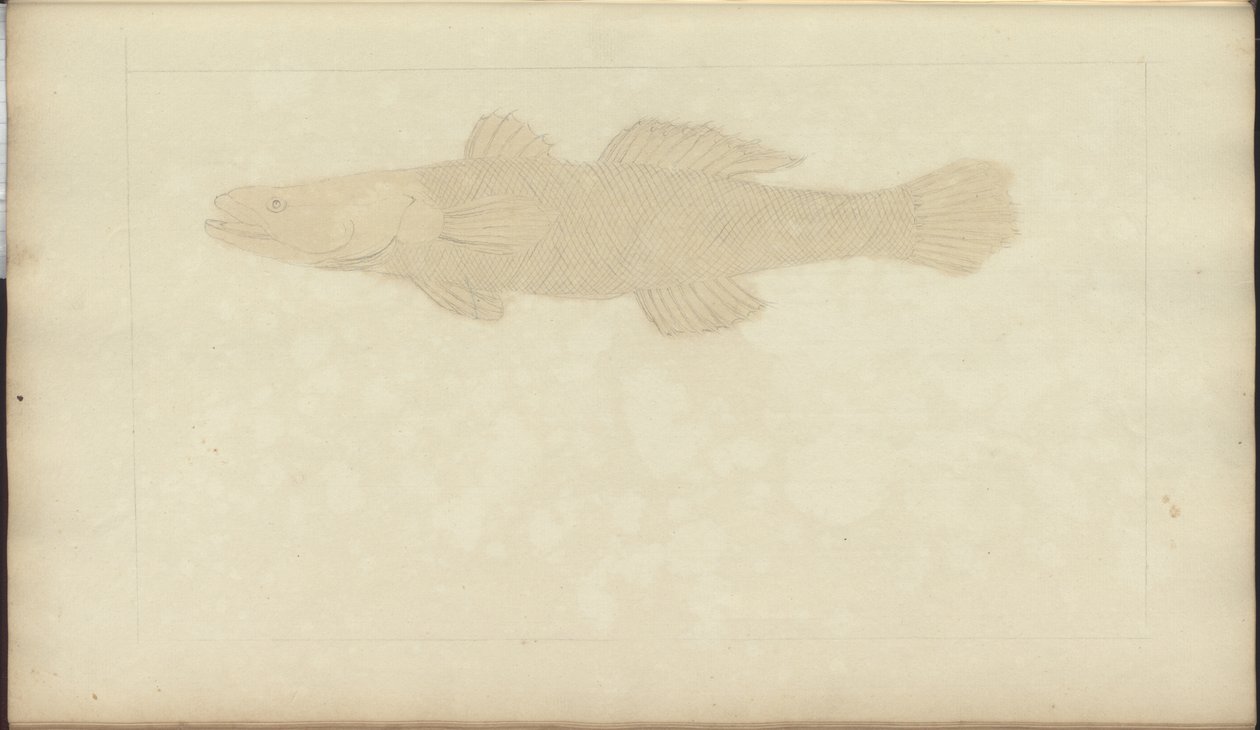 Dibujos de Lindsay Vol. VII, 22 de John Lindsay