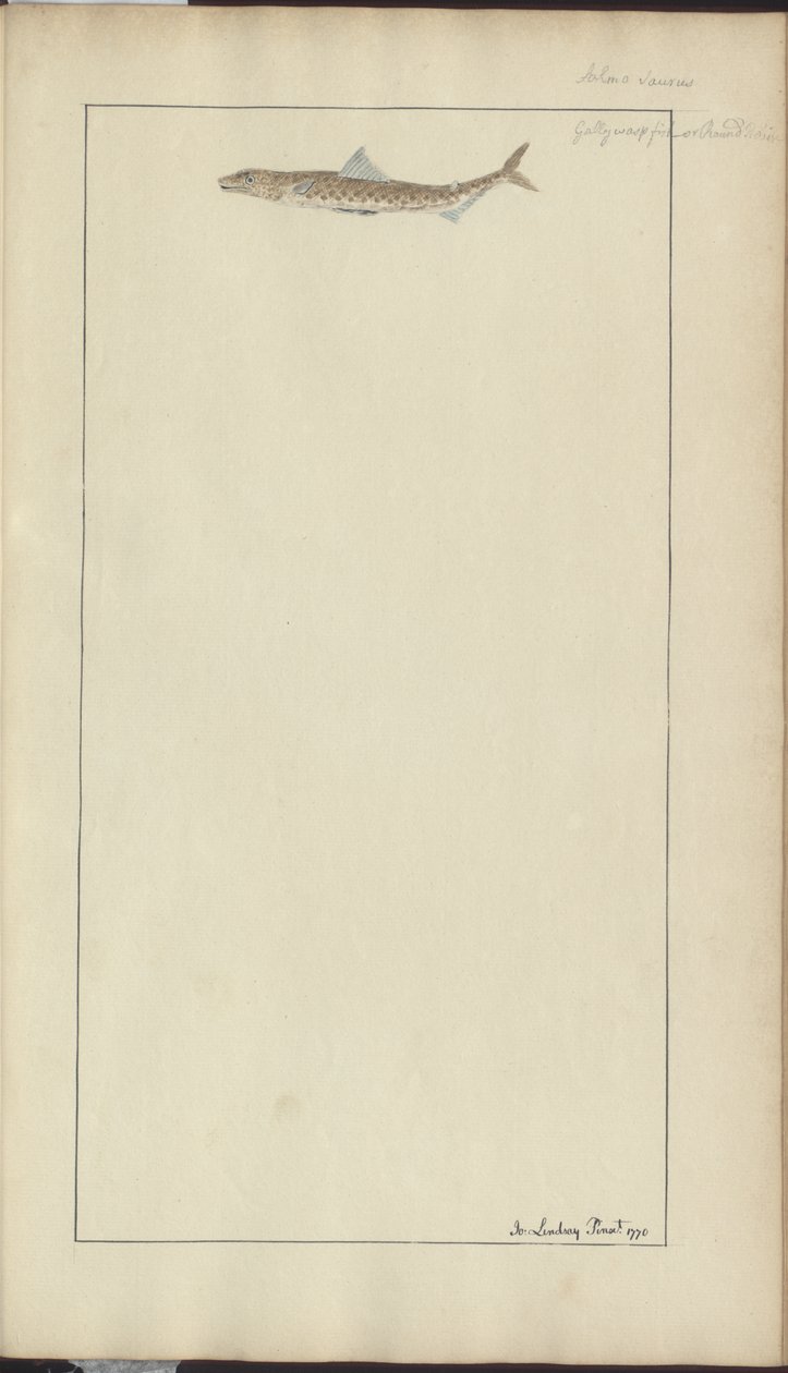 Dibujos de Lindsay Vol. VII, 23 de John Lindsay