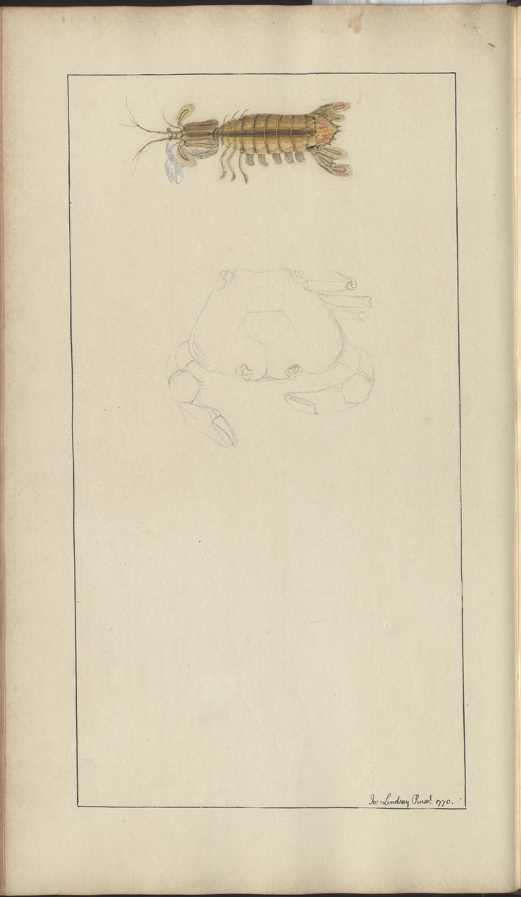 Dibujos de Lindsay Vol. VII, 24 de John Lindsay