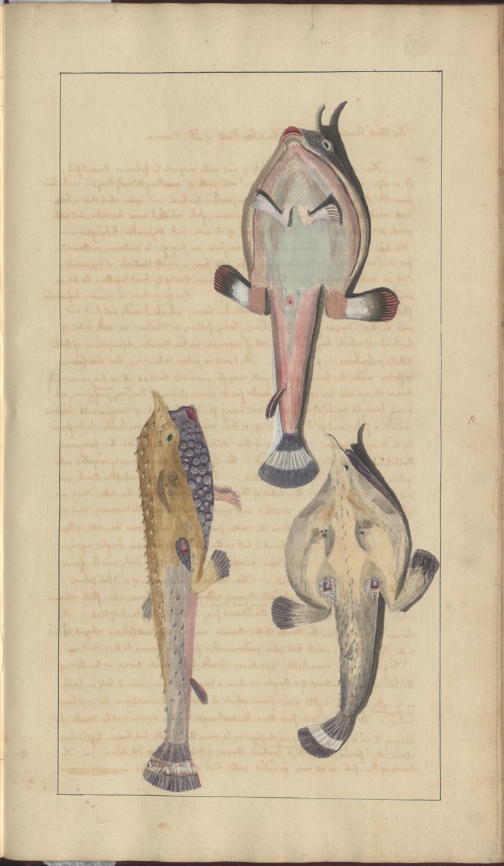 Dibujos de Lindsay Vol. VII, 27 de John Lindsay