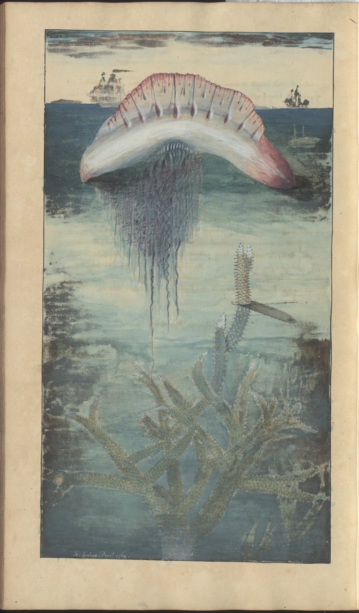 Dibujos de Lindsay Vol. VII, 30 de John Lindsay