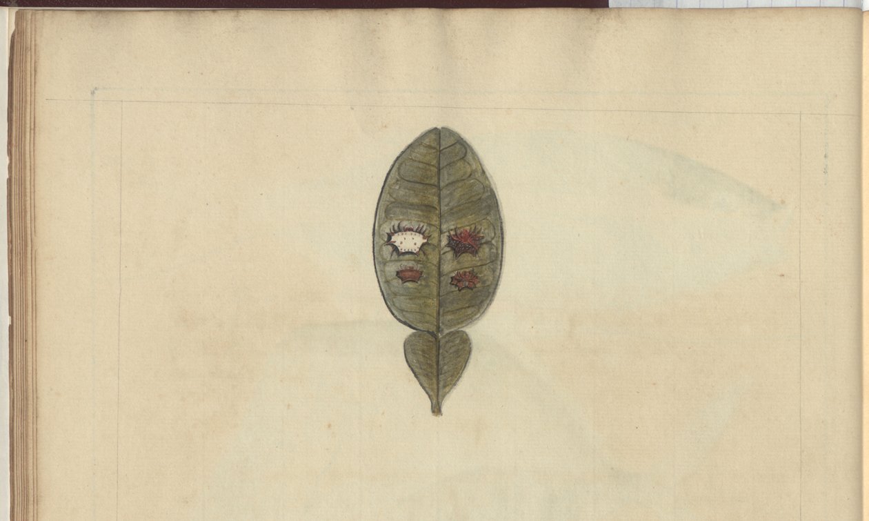 Dibujos de Lindsay Vol. VII, 3 de John Lindsay