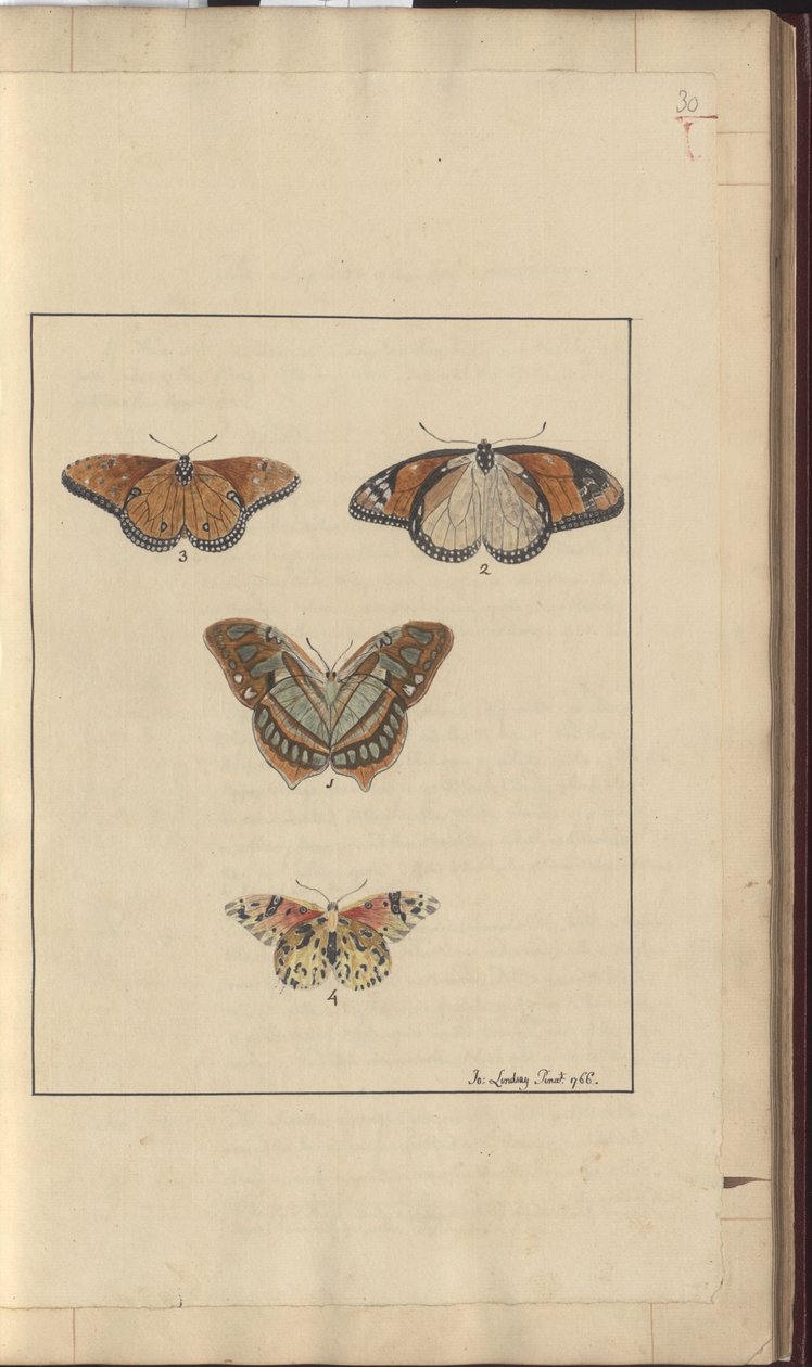 Dibujos de Lindsay Vol. VI, 30 de John Lindsay