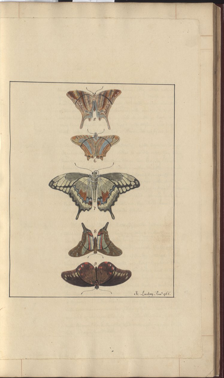Dibujos de Lindsay Vol. VI, 32 de John Lindsay