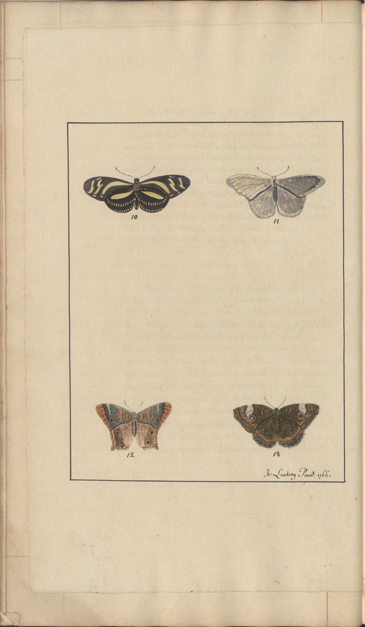 Dibujos de Lindsay Vol. VI, 35 de John Lindsay
