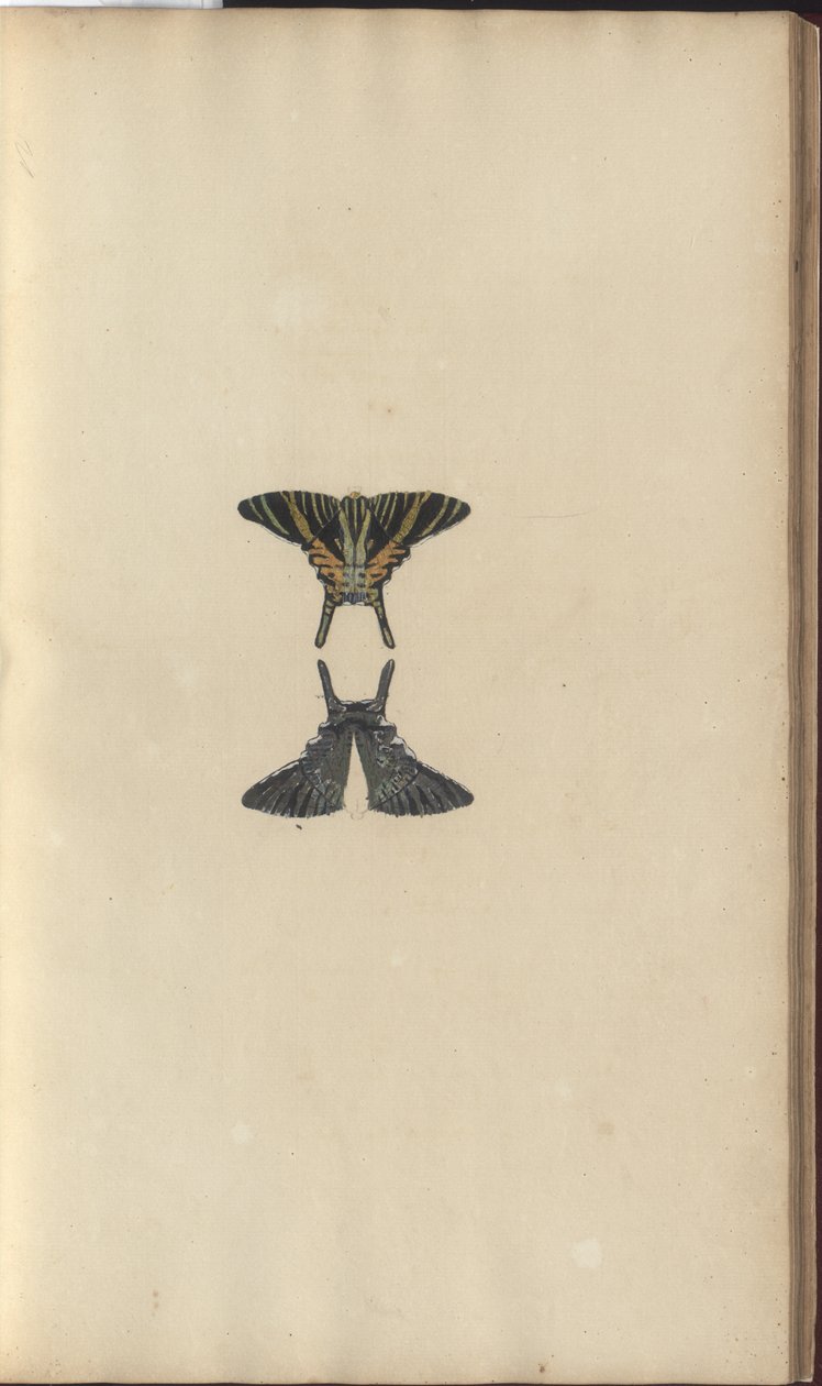 Dibujos de Lindsay Vol. VI, 48 de John Lindsay