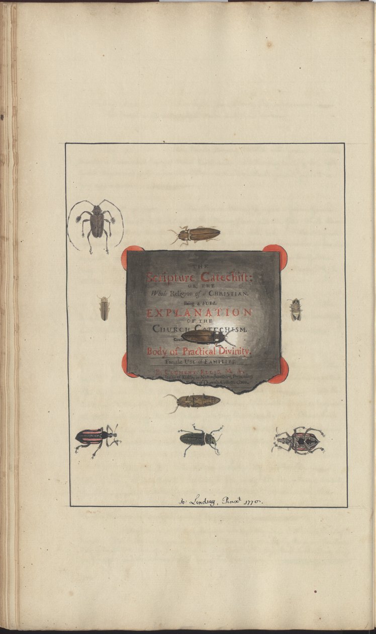 Dibujos de Lindsay Vol. VI, 95 de John Lindsay