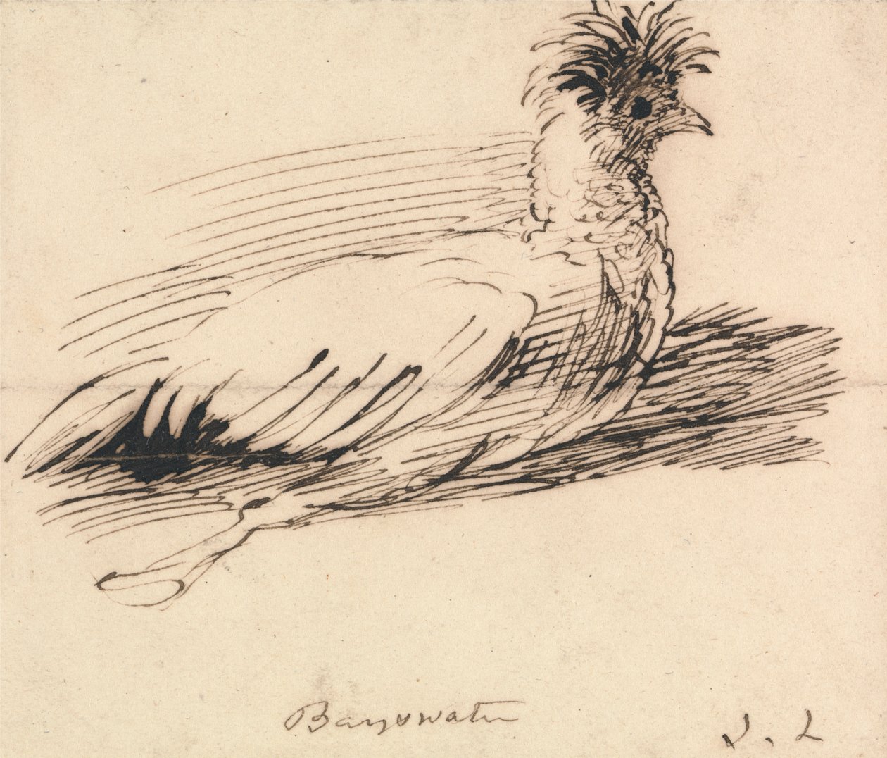 Una gallina de John Linnell