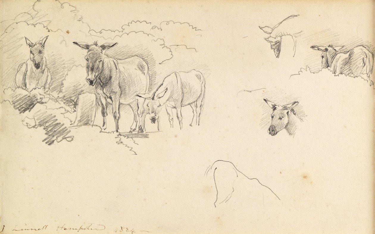 Burros, 1824 de John Linnell