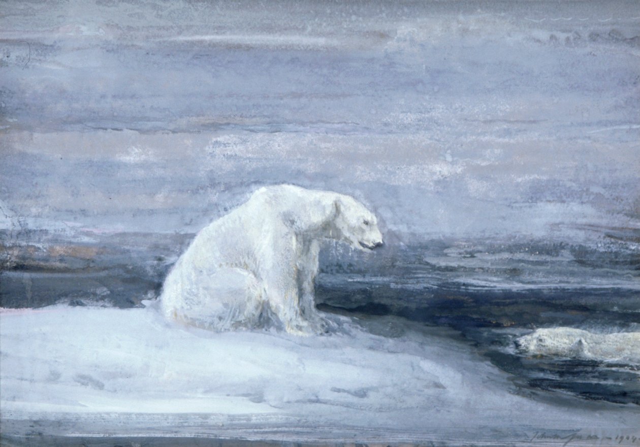 Osos polares observando focas en un agujero de hielo, c1867-1910 de John Macallan Swan