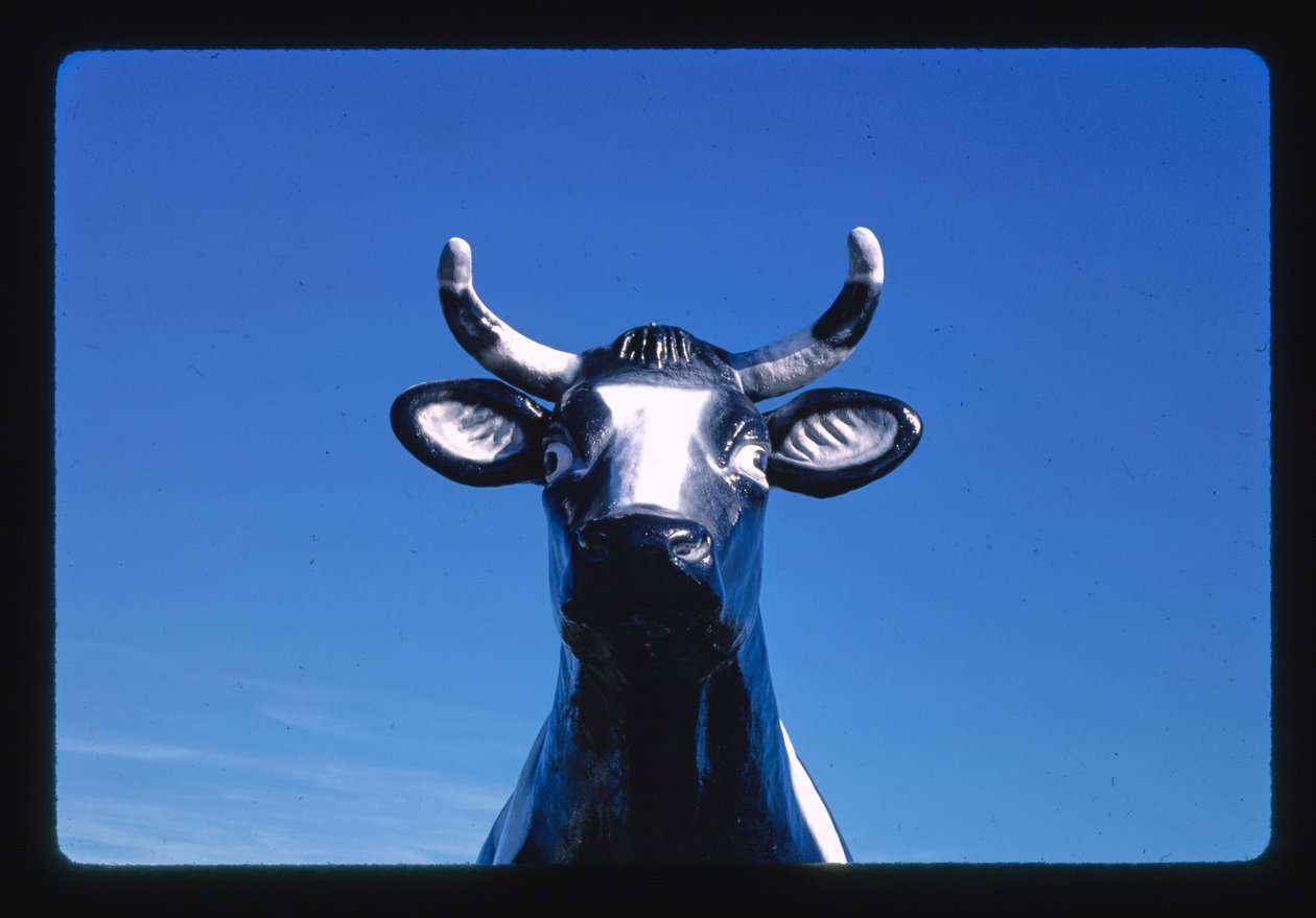 Detalle de la estatua de la vaca Chatty Belle, Cheese and Gift Shop, Neillsville, Wisconsin, EE.UU. de John Margolies