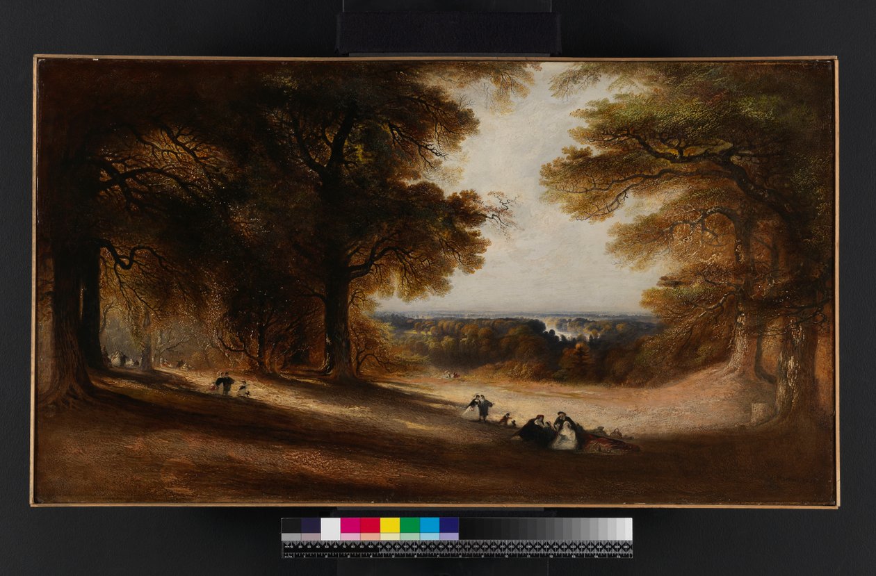 Paisaje: Vista en Richmond Park, 1850 de John Martin