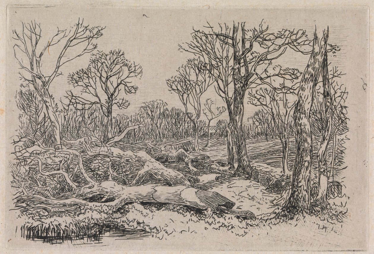 Madera talada, Burningham de John Middleton