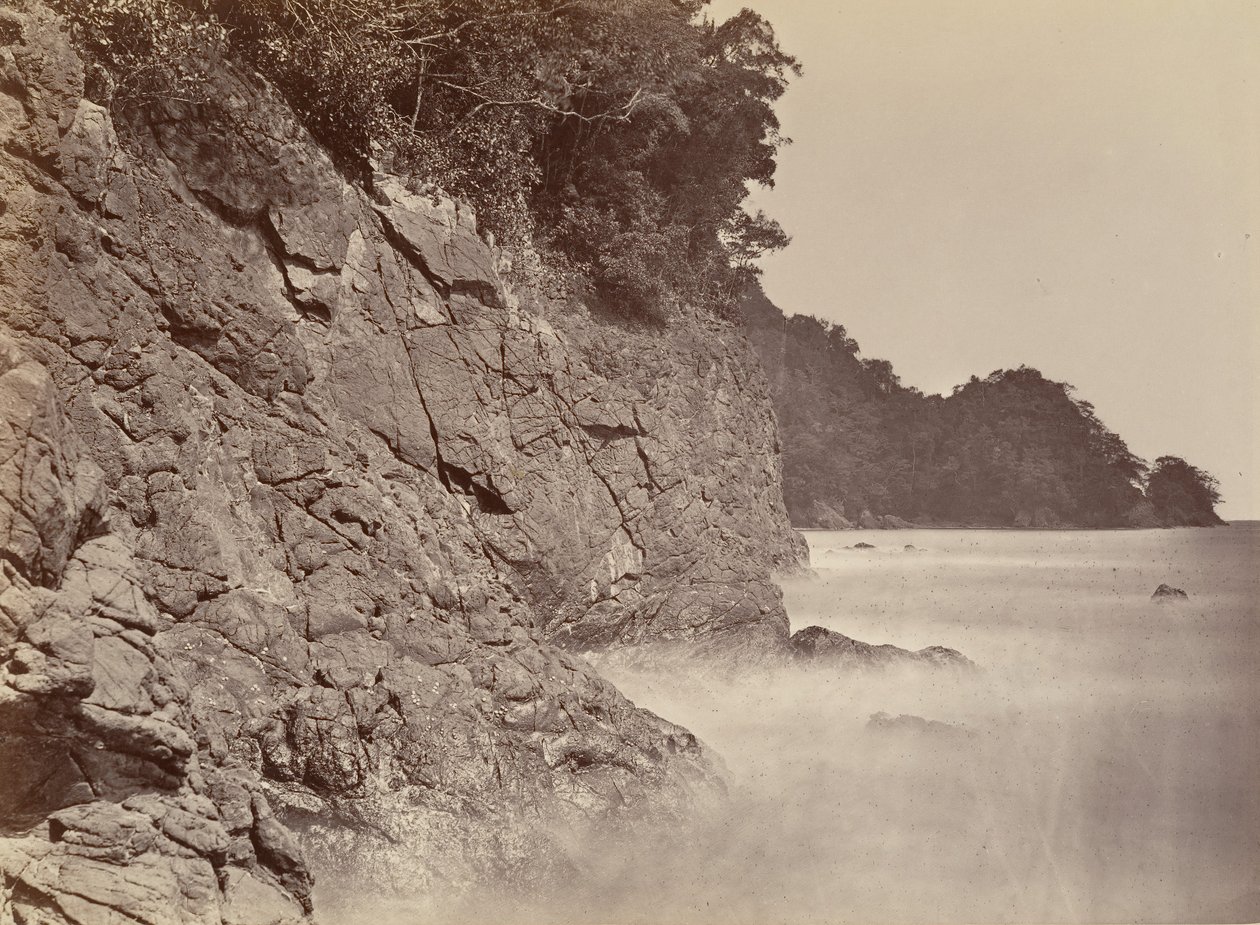 Paisaje Tropical, Acantilado - Bahía Limón, 1871 de John Moran