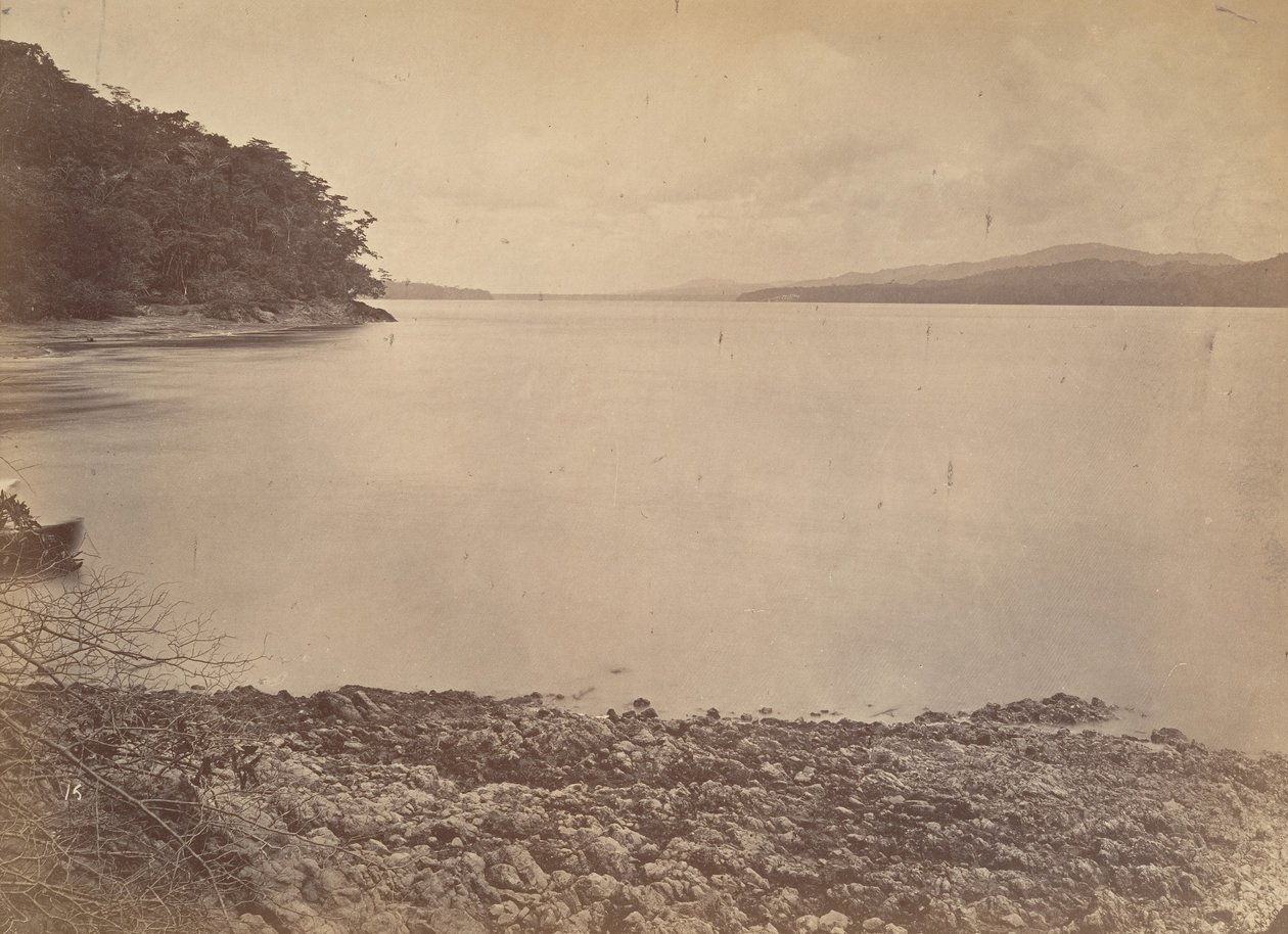 Paisaje tropical, Puerto de Darién - Mirando al sur, 1871 de John Moran