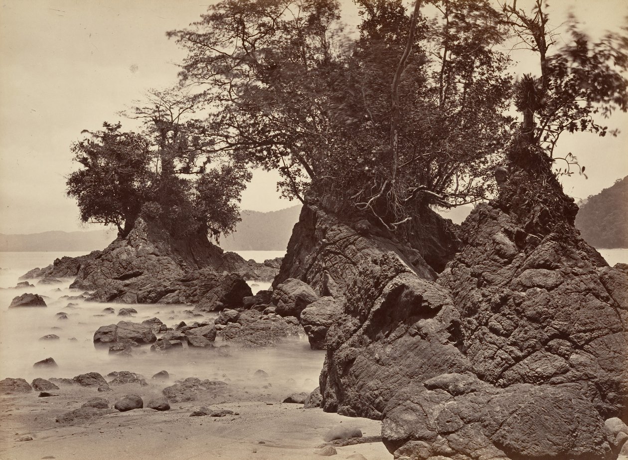 Paisaje tropical, Bahía Limón - Marea baja de John Moran