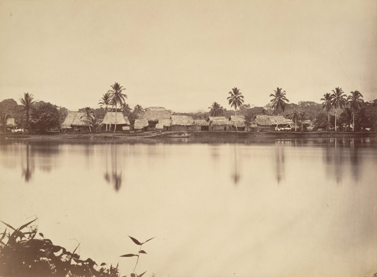 Paisaje tropical, Santa María del Real, Darién de John Moran