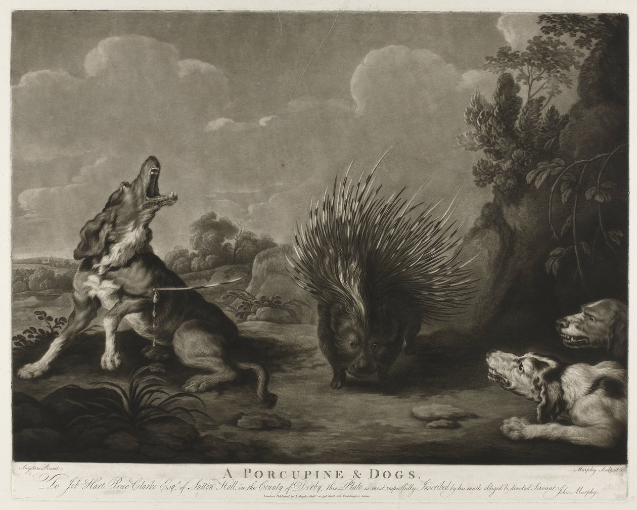 Puercoespín y tres perros Un puercoespín y perros (título sobre el objeto) de John Murphy