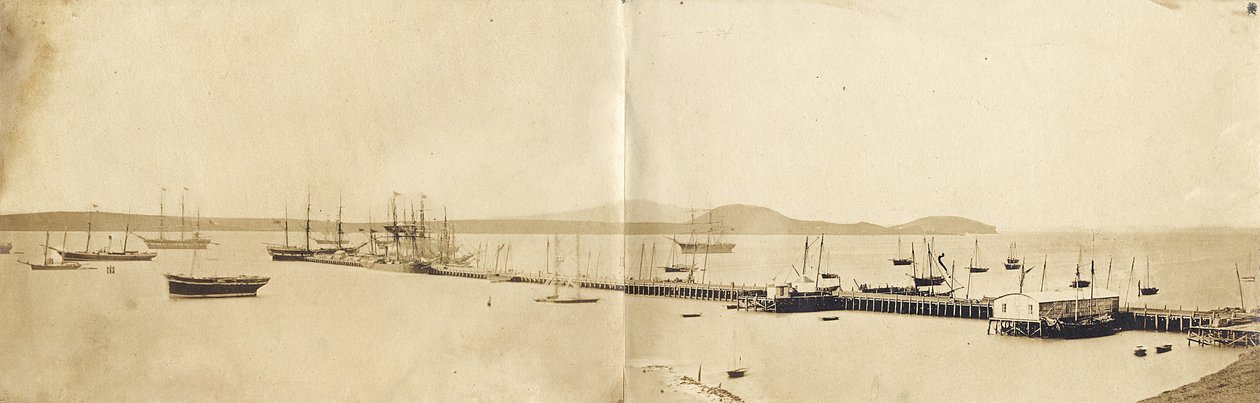Puerto de Auckland, 1865 de John Nicol Crombie