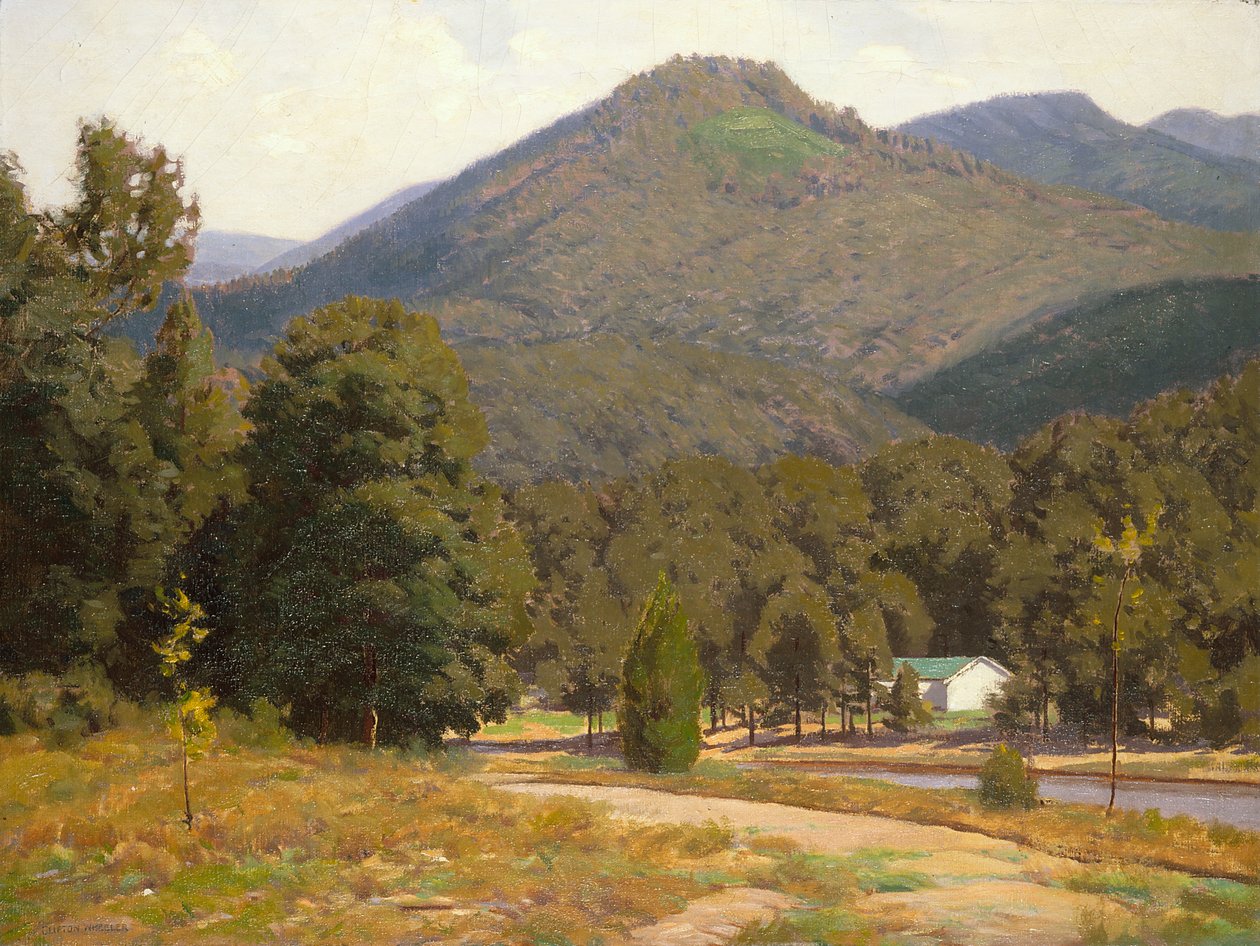 Estudio de figura (anciano) (óleo sobre lienzo) de John Otis Adams
