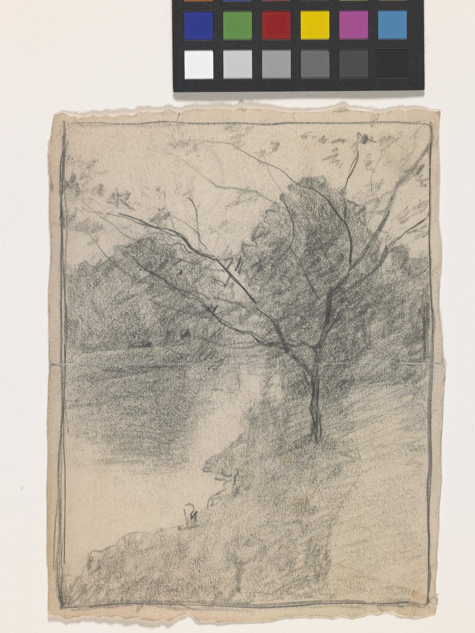 Tree Beside A Stream (lápiz sobre papel blanco) de John Otis Adams