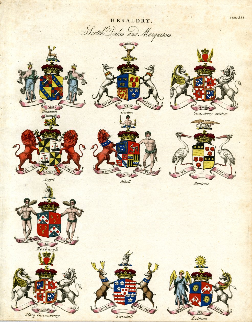 Escudos de armas de duques y marqueses escoceses de John Pass