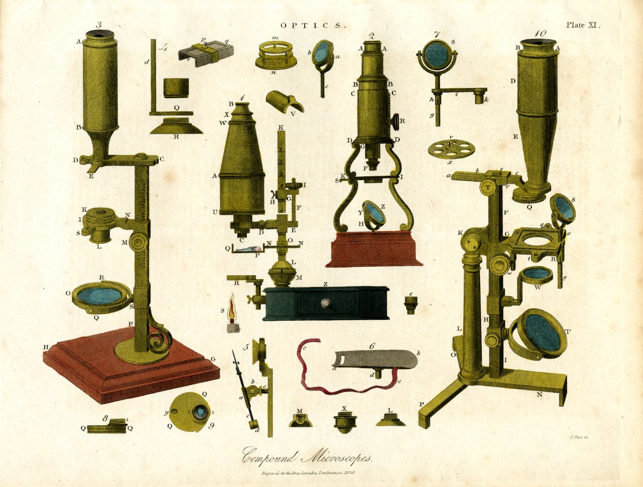 Microscopios compuestos de principios del siglo XIX de John Pass
