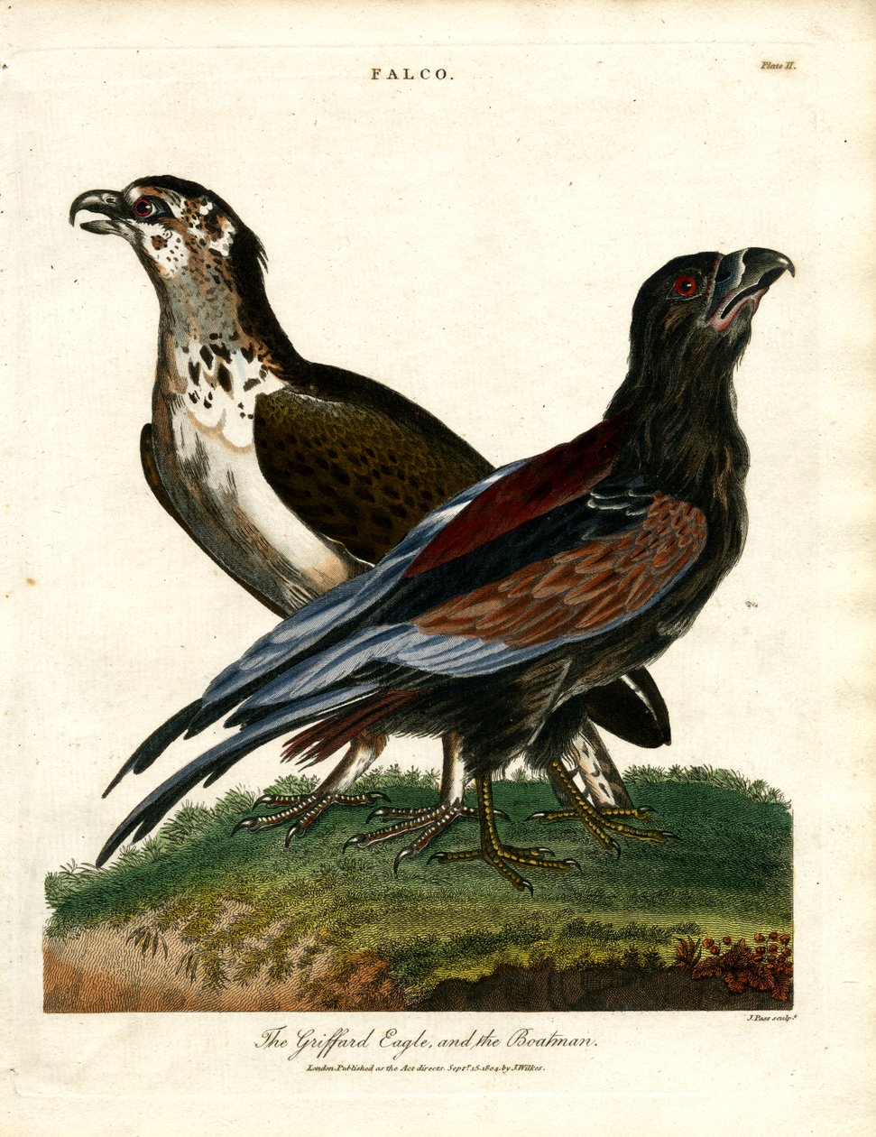 El águila griega y el barquero de John Pass