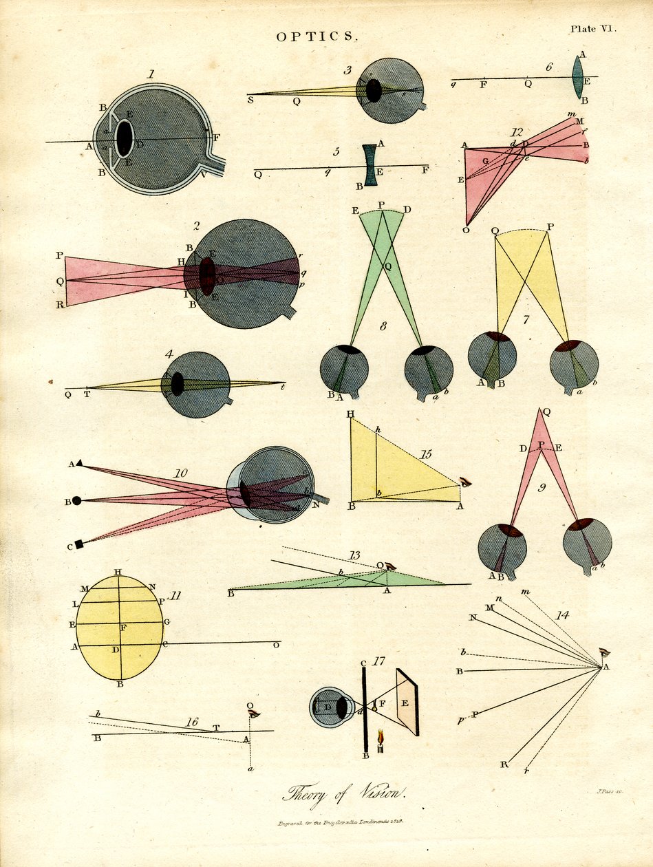 Teoría de la visión de John Pass