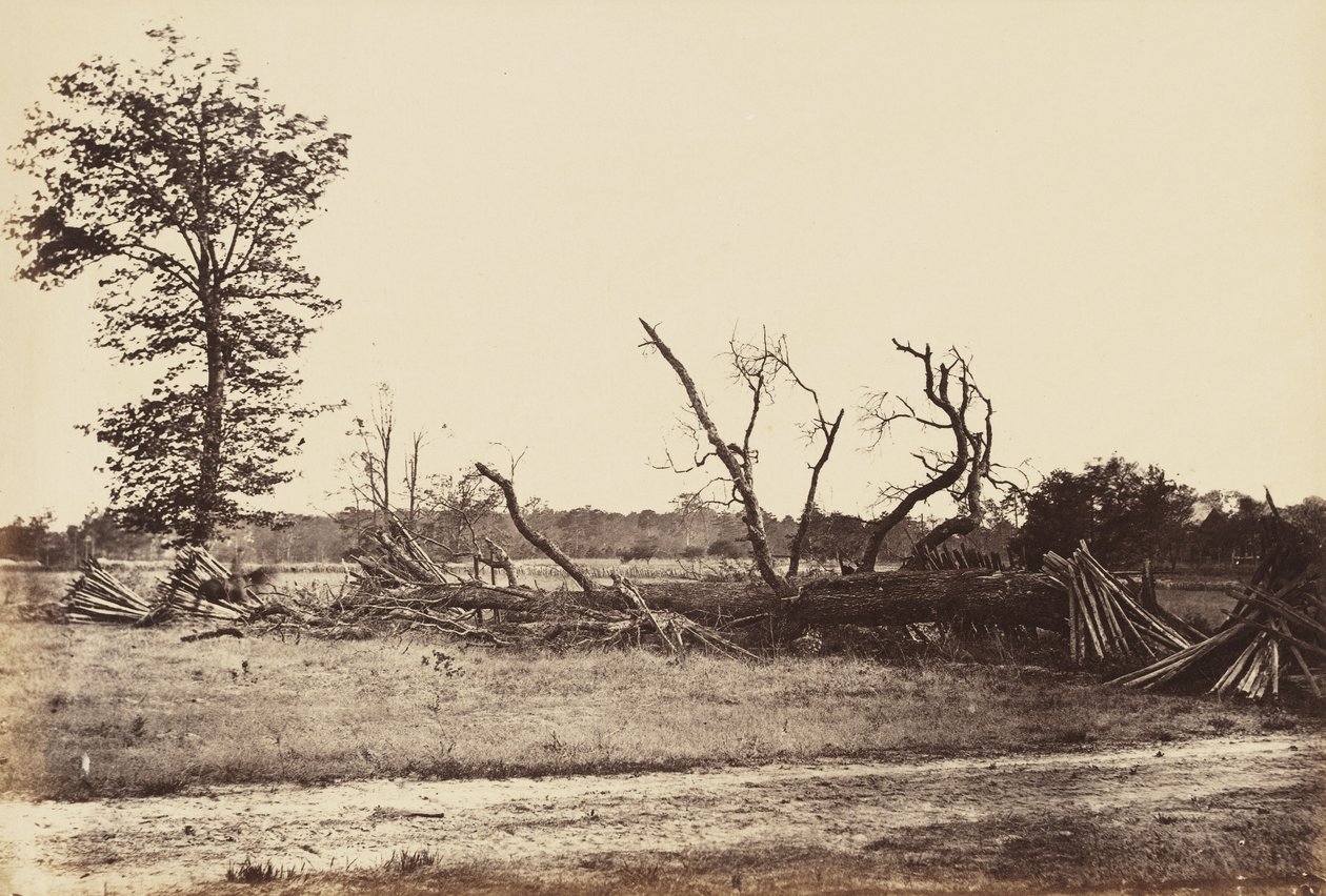 Línea extrema de obras confederadas, Cold Harbor., abril de 1865 de John Reekie