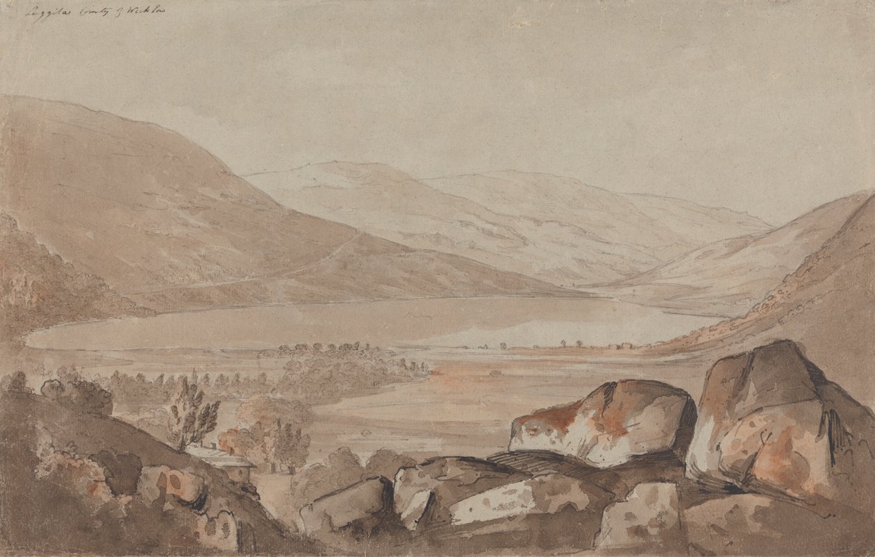 Luggila, Condado de Wicklow de John Renton