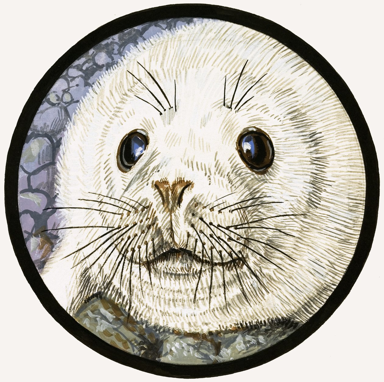 La foca, nuestra amiga del mar de John Rignall